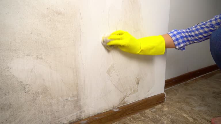 Reliable Parkesburg, PA Mold Inspection, Removal & Remediation Solutions