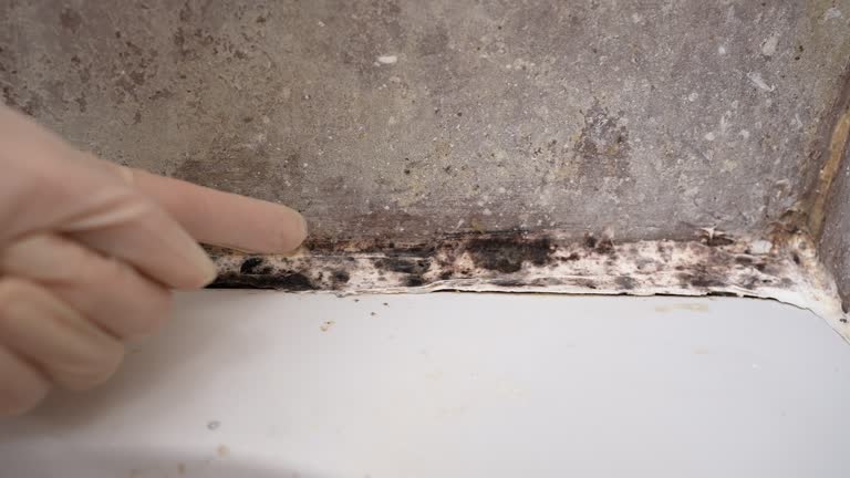 Asbestos and Lead Testing During Mold Inspection in Parkesburg, PA